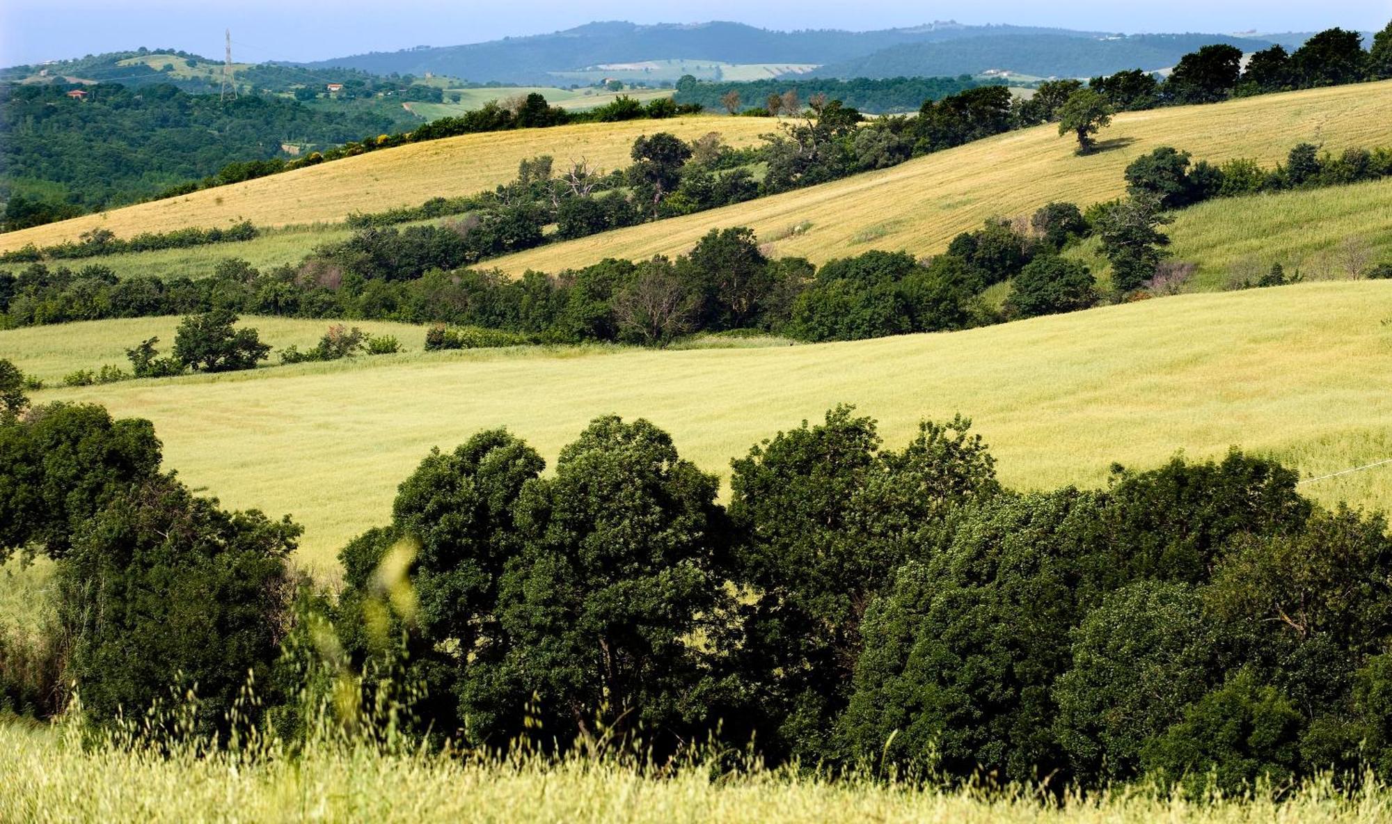Saturnia Tuscany Country House Exterior foto